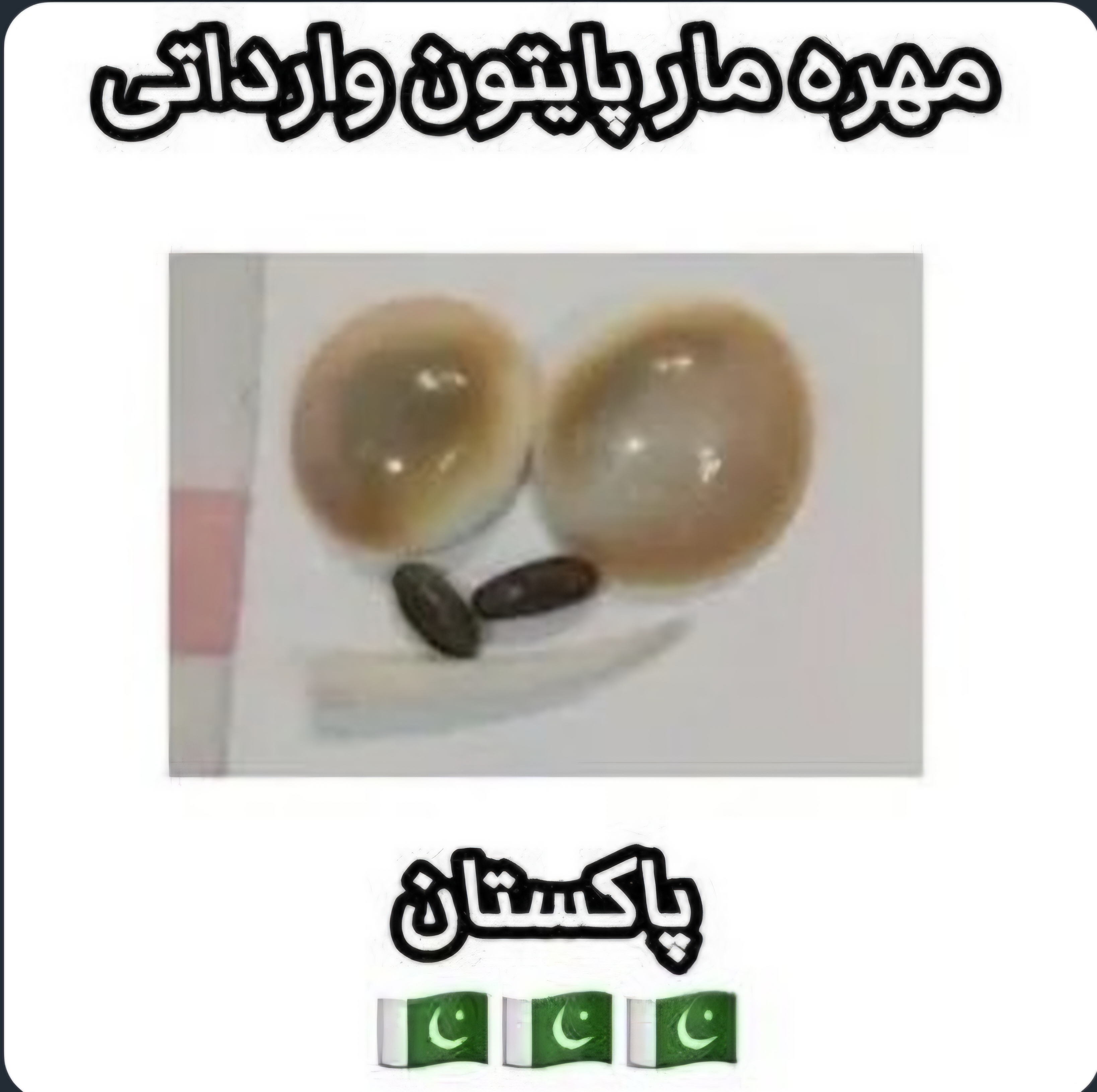 مهره مار پایتون وارداتی پاکستان
