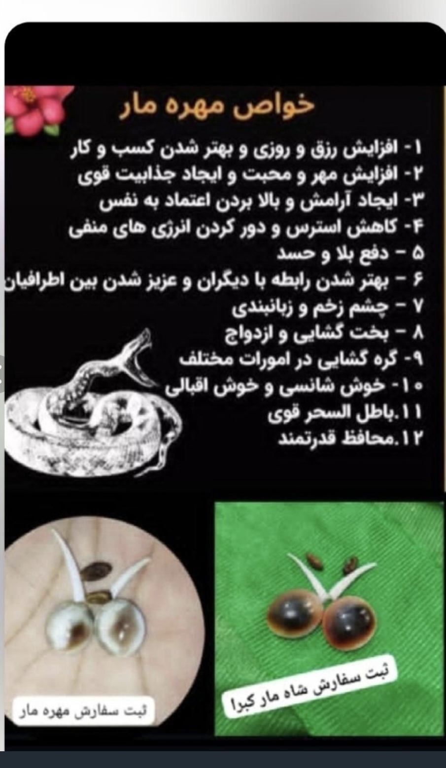 مهره مار اصلی با دعا و فعال سازی